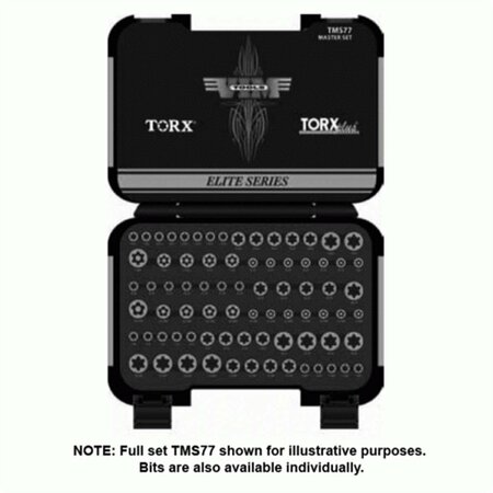 HOMECARE PRODUCTS 0.25 in. TR30 Tamper Proof Torx Bit HO3584478